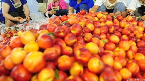 亚洲va手机在线视频,在线视频盛宴一网打尽