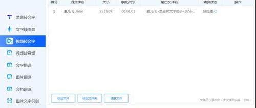 在线视频文字转文档,探索高效内容整理新途径