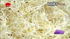 豆芽视在线视频,揭秘视频背后的精彩故事